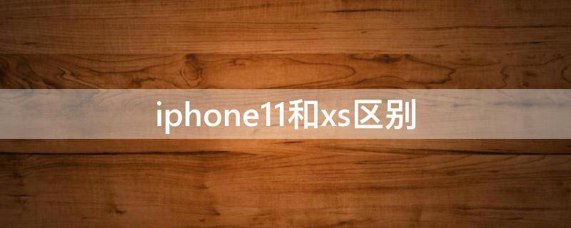 iphone11和xs区别（iphone11和xs区别大吗）