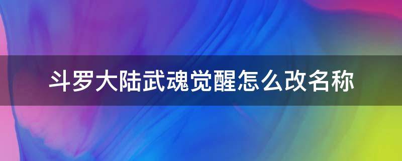 斗罗大陆武魂觉醒怎么改名称 斗罗大陆武魂觉醒ID