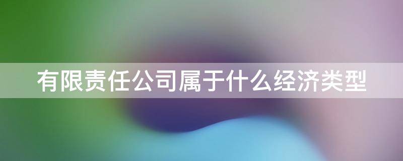 有限责任公司属于什么经济类型 有限责任公司属于什么经济类型企业