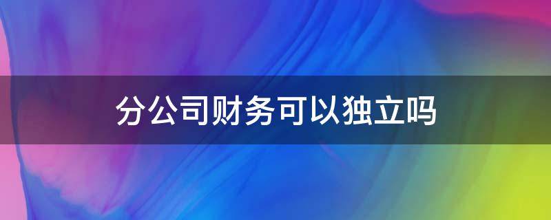 分公司财务可以独立吗（分公司可以独立开票报税吗）