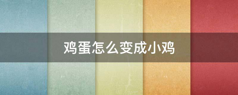 鸡蛋怎么变成小鸡 鸡蛋怎么变成小鸡的生长变化过程?