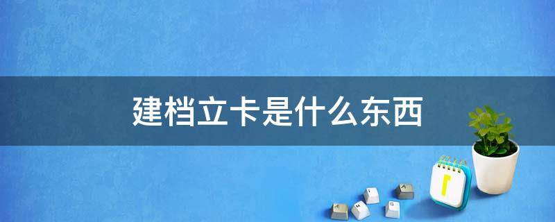 建档立卡是什么东西 建档立卡是什么样子的东西