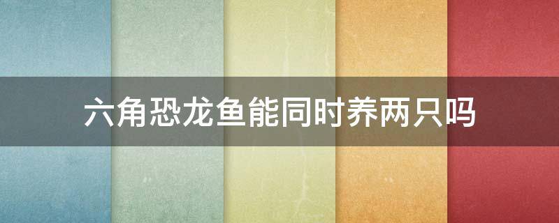 六角恐龙鱼能同时养两只吗 六角恐龙鱼一个鱼缸养几只有关系吗