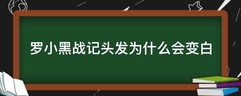 罗小黑战记头发为什么会变白 罗小黑战记小黑的头发为什么变白了