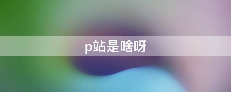 p站是啥呀（p站是什么意思）