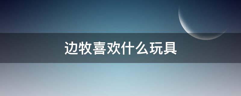 边牧喜欢什么玩具（边牧对玩具不感兴趣）