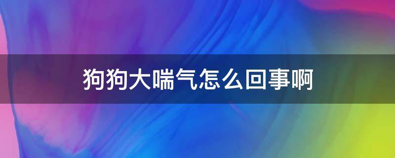 狗狗大喘气怎么回事啊（狗狗大喘气是怎么了）