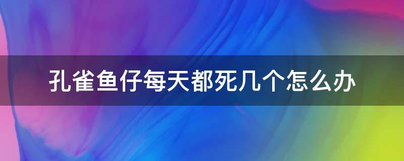 孔雀鱼仔每天都死几个怎么办（为什么孔雀鱼仔总死）