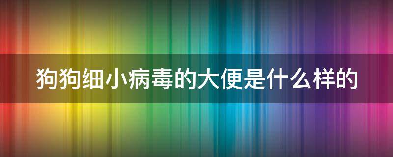 狗狗细小病毒的大便是什么样的（狗狗细小病粪便图片）