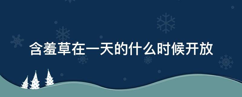 含羞草在一天的什么时候开放 含羞草在一天之内几点开放