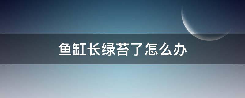 鱼缸长绿苔了怎么办 鱼缸上长绿苔怎么办