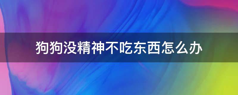 狗狗没精神不吃东西怎么办（狗狗没精神不吃东西怎么办还呕吐绿水）