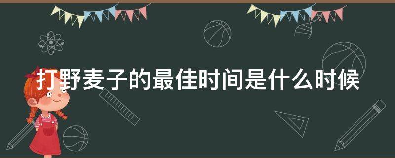 打野麦子的最佳时间是什么时候（打野麦子的最佳时间是什么时候的）