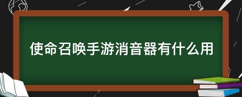 使命召唤手游消音器有什么用（使命召唤 消音器）