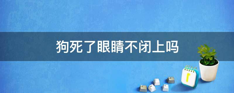 狗死了眼睛不闭上吗（狗狗死的时候闭不上眼）