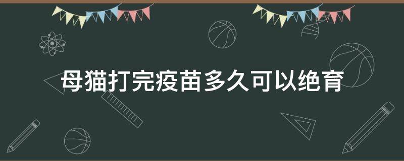 母猫打完疫苗多久可以绝育（母猫打完疫苗多久能绝育）