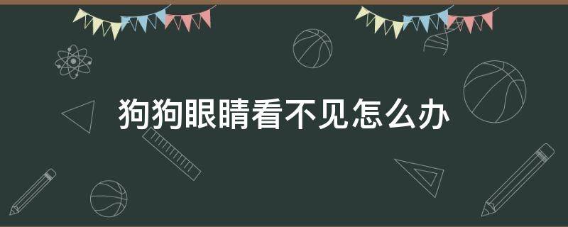 狗狗眼睛看不见怎么办（狗的眼睛看不见了,该怎样治）