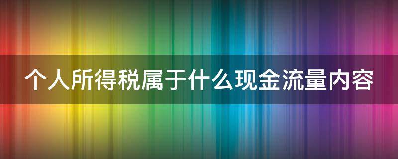 个人所得税属于什么现金流量内容 个人所得税属于现金流量表哪个项目