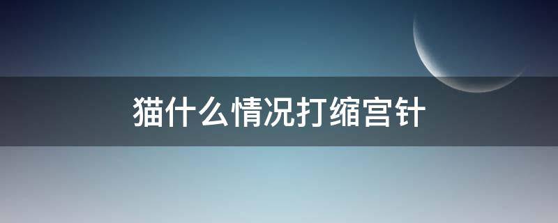 猫什么情况打缩宫针 母猫打宫缩针是什么反应