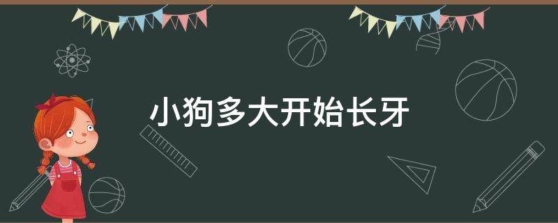 小狗多大开始长牙（狗子多大开始长牙）