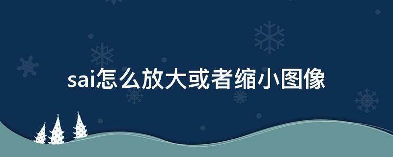 sai怎么放大或者缩小图像（sai图片放大缩小）