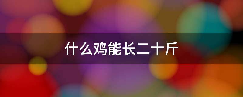 什么鸡能长二十斤（能长十几斤的鸡）