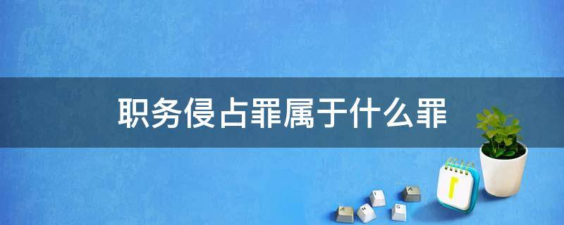 职务侵占罪属于什么罪（职务侵占罪属于侵占罪吗）