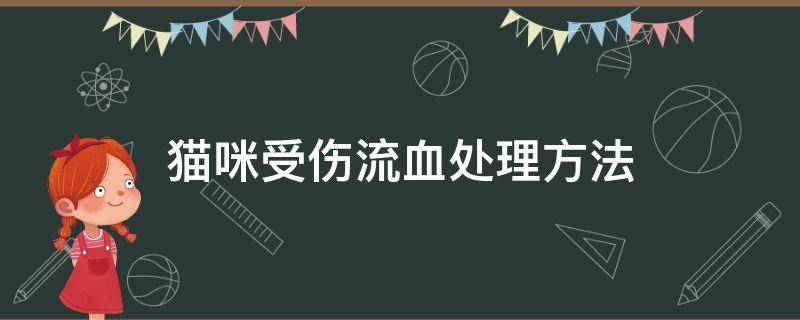 猫咪受伤流血处理方法（家猫受伤流血怎么办）