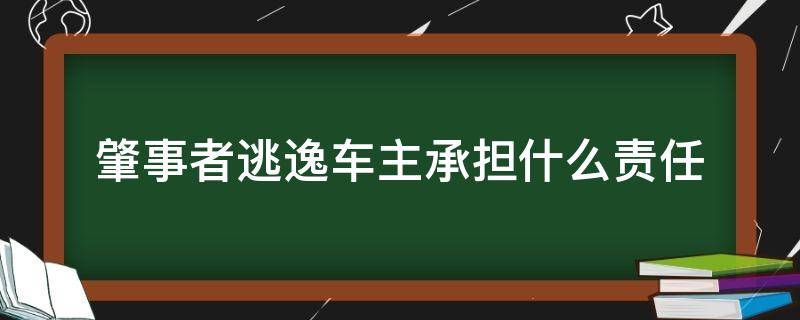 肇事者逃逸车主承担什么责任 肇事司机逃逸车主负责任吗