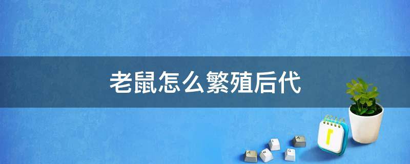 老鼠怎么繁殖后代 老鼠如何繁衍后代