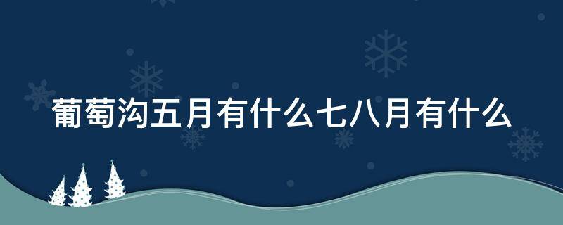 葡萄沟五月有什么七八月有什么（葡萄沟五月份有什么七八月有什么）