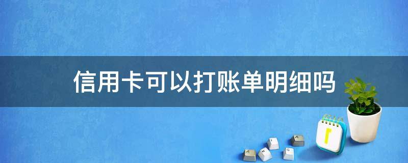 信用卡可以打账单明细吗（如何打信用卡账单）