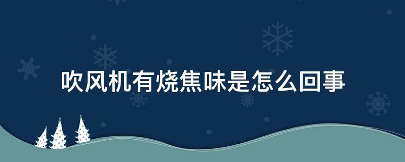 吹风机有烧焦味是怎么回事（为什么吹风机有烧焦味）