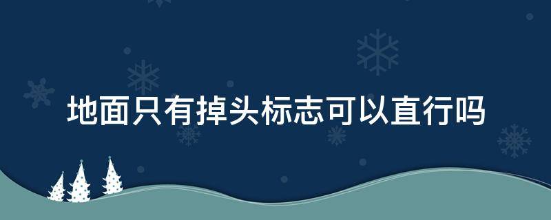 地面只有掉头标志可以直行吗（地面只有掉头标志可以直行吗?没有禁止直行标志）