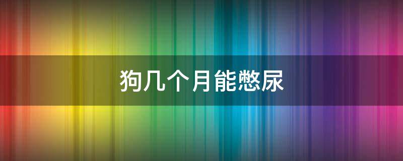 狗几个月能憋尿（几个月的狗可以憋屎憋尿）