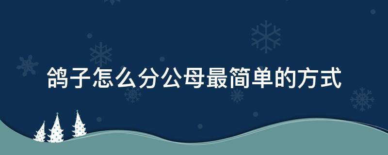 鸽子怎么分公母最简单的方式（鸽子怎么分公母最简单的方式视频）