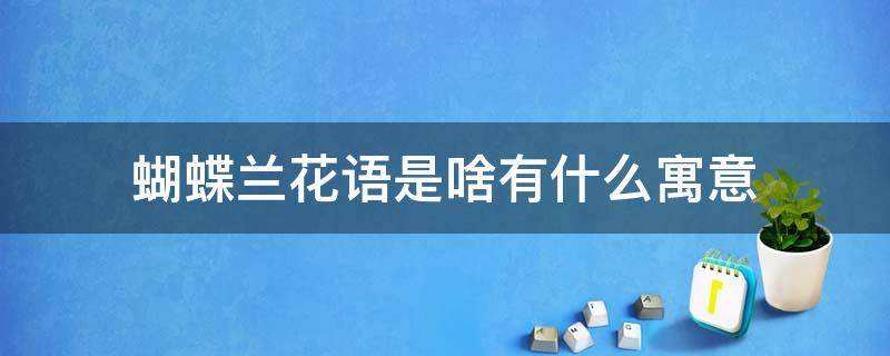 蝴蝶兰花语是啥有什么寓意 蝴蝶兰花语代表着什么