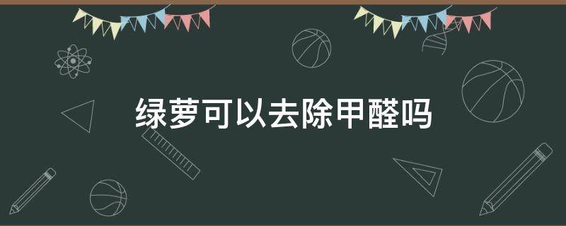 绿萝可以去除甲醛吗（绿萝可以吸附甲醛吗）