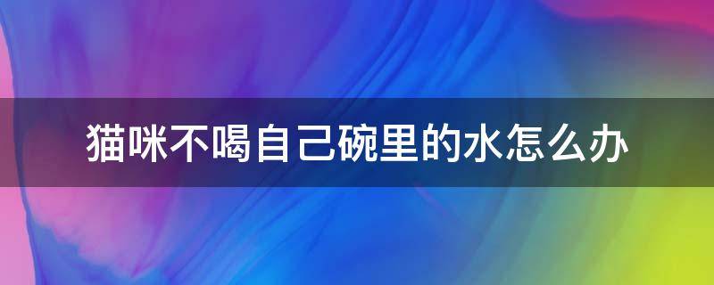 猫咪不喝自己碗里的水怎么办（猫猫不喝自己碗里的水）