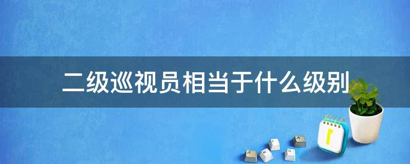 二级巡视员相当于什么级别 二级巡视员相当于什么级别干部