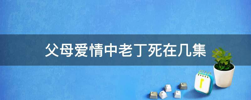 父母爱情中老丁死在几集（父母爱情中老丁死在几集视频）