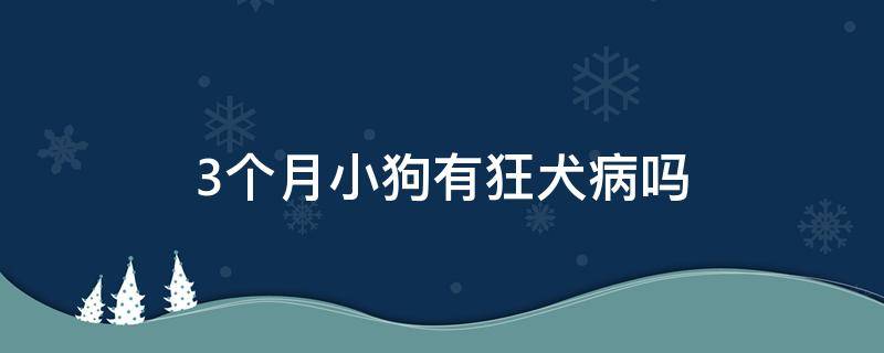 3个月小狗有狂犬病吗 3个月的小狗有没有狂犬病