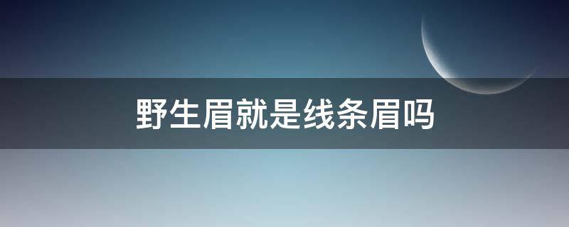 野生眉就是线条眉吗 野生眉和线条眉