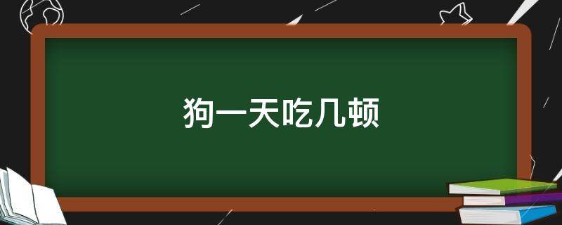 狗一天吃几顿 成年狗狗一天吃几顿