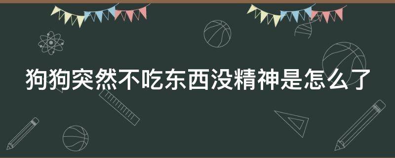 狗狗突然不吃东西没精神是怎么了 狗狗突然不吃东西没精神怎么办