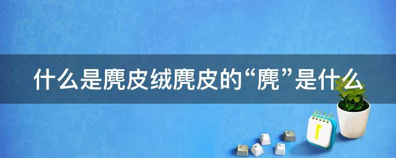 什么是麂皮绒麂皮的“麂”是什么（什么是麂皮绒?麂皮绒面料有什么优点和缺点?）