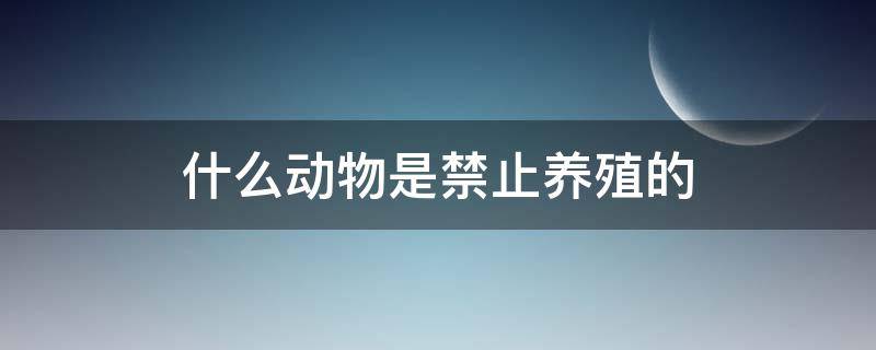 什么动物是禁止养殖的 禁止饲养的动物有哪些