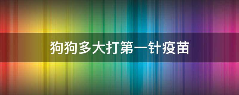 狗狗多大打第一针疫苗 狗狗多大打第一针疫苗多少钱