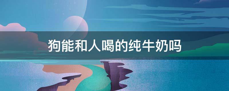 狗能和人喝的纯牛奶吗 狗狗能喝人喝的纯牛奶吗