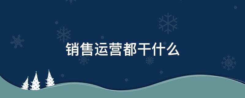 销售运营都干什么（运营是做销售吗）